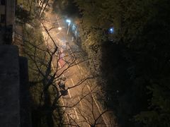-武汉大学-樱园