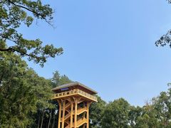 -缙云山景区