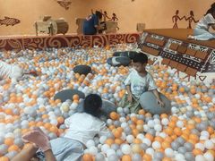 -厦门诚毅自然探索馆