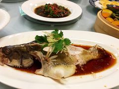 清蒸桂鱼-石屏会馆