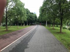 -艾溪湖湿地公园