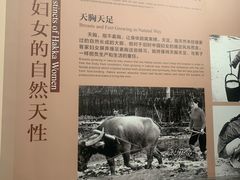 -中国客家博物馆