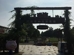 -田园东方蜜桃村的田野营地