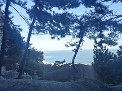 -崂山仰口游览区