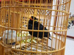 -清真·京华源铜锅涮肉(丰庆店)