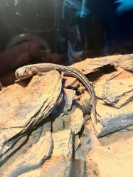 -Zoolung Zoolung动物主题公园(海信广场店)