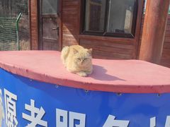 -萨尔浒风景区