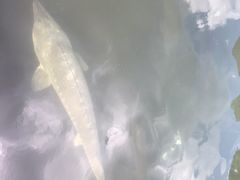 -天源渔港农庄