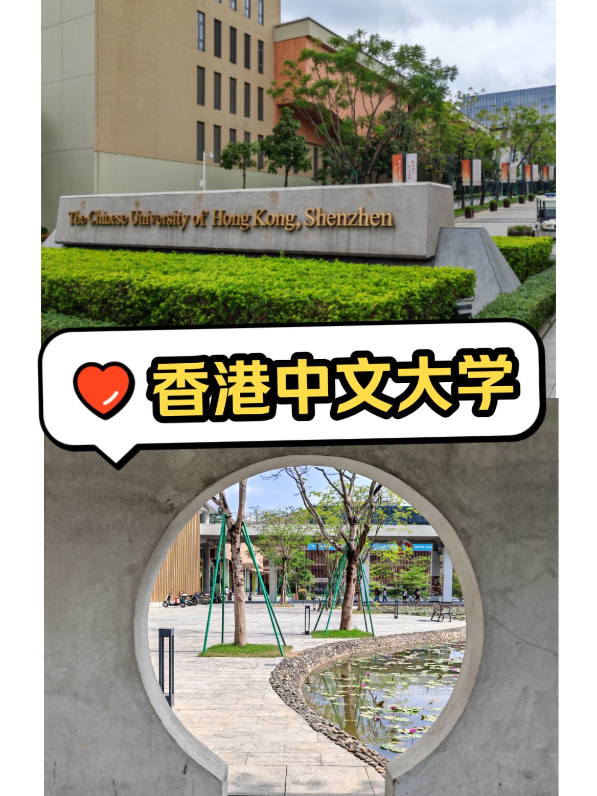 香港中文大学黄波图片