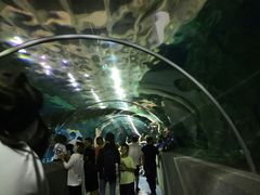 -秦皇岛新澳海底世界