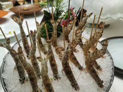 -鲐赏河豚(长寿店)