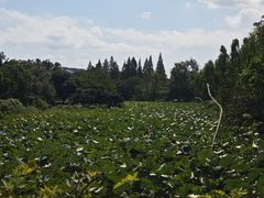 -玄武湖景区-情侣园游乐场