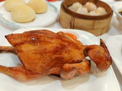 -和乐喜点(宝岗大道店)