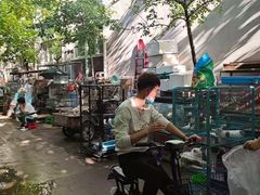 -保定市花鸟鱼虫市场