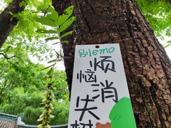 -狼山风景名胜区