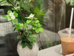 -七欣天香辣蟹火锅(无锡金太湖国际城店)