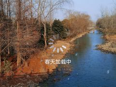 -溱湖国家湿地公园