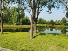 -东郊湿地公园