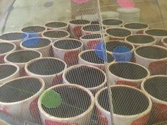 龟苓膏-恭和堂 龟苓膏(铜锣湾店)