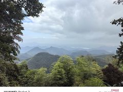-莫干山风景区