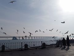 -星海广场
