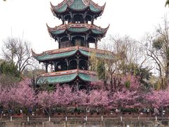 -望江楼公园