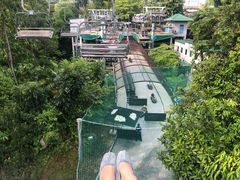 -圣淘沙天际线斜坡滑车