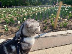 -长春公园(普阳街道)