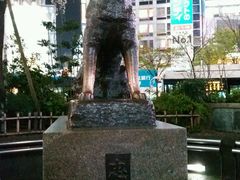 -涩谷区