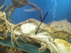-阳光码头海鲜火锅(玉立路店)