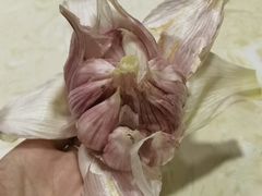 -尕有炕锅烤羊肉