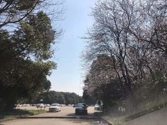 -胜华驾校·小猫学车(银都店)