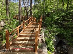 -大岭沟猕猴桃谷风景区
