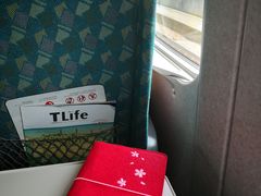 -文府路口(Taiwan High Speed Rail Zuoying Station)