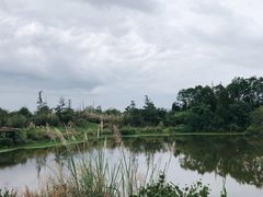 -桤木河湿地公园