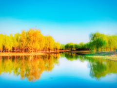 -东郊湿地公园