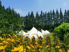 -前小桔亲子创意农场·草莓采摘·露营烧烤