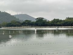 -顺峰山公园