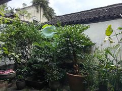 -院子餐厅·大锅菜·老杭帮(桥西直街店)