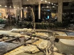 -白虎自助餐厅·真老虎·景观自助餐厅(广州长隆酒店)