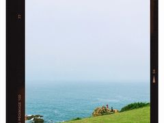 -小麦岛公园