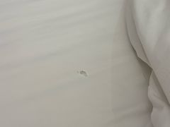 -威尼斯得月大酒店