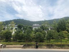 -芦茨金富饭庄·25年老字号·专做稻草鸡