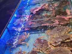 -阿伟海鲜楼·福建菜(延寿店)