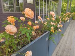 -世纪公园-世纪春沁园