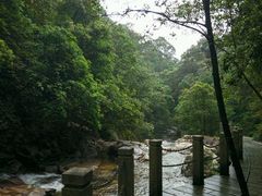 -九龙江国家森林公园