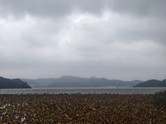 -东钱湖旅游度假区