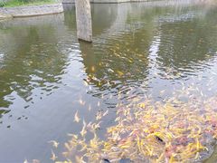 -沂蒙云瀑洞天景区