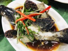 石斑鱼-四川小胡子海鲜(丁村万人海鲜广场店)