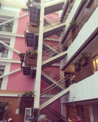 -知爱母婴专护全套房月子会所(新华路店)
